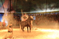 Cavale 33 * 5184 x 3456 * (8.7MB)